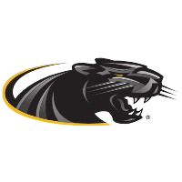 底特律莫瑟大学